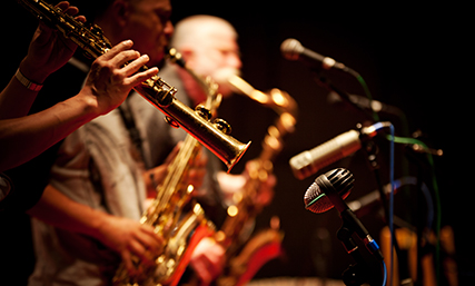 Музыкальная программа