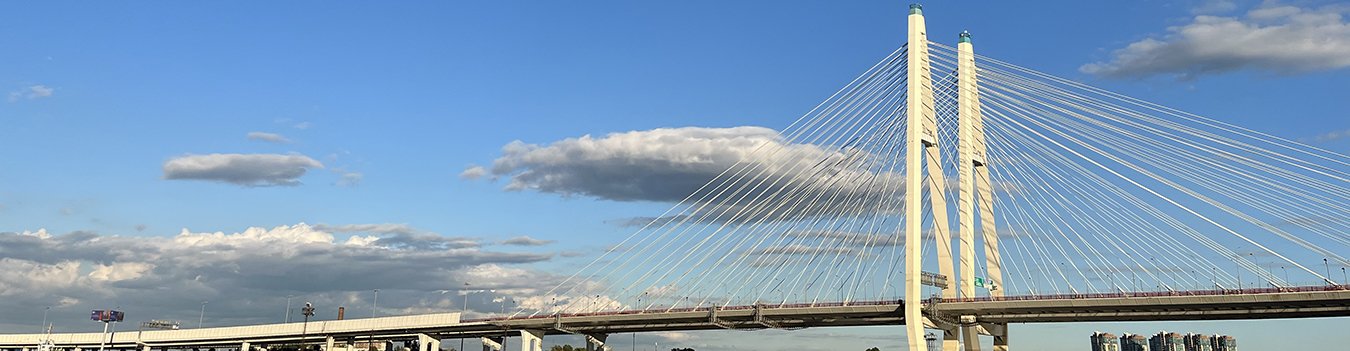 Дополнительная экскурсия в Петергоф (после круиза)