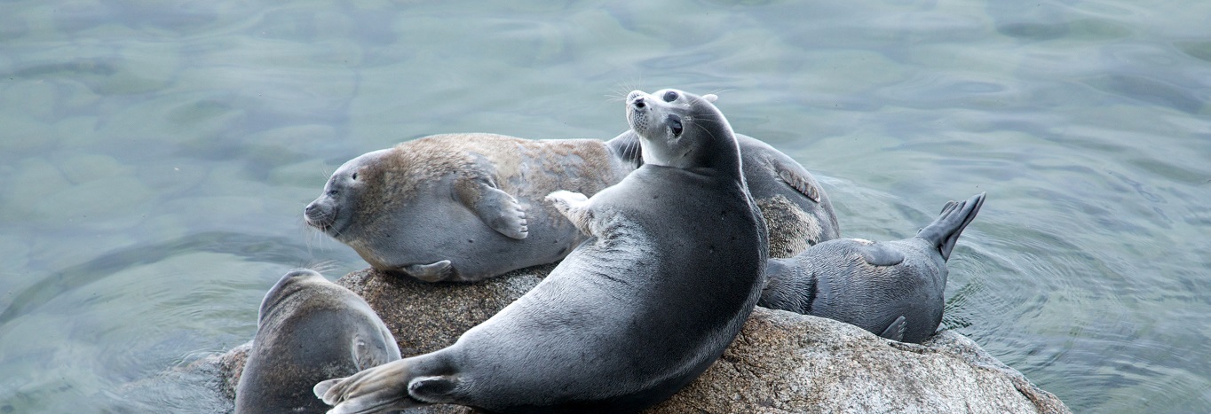 Ольхон: где находится, что посмотреть за 1 день туристу