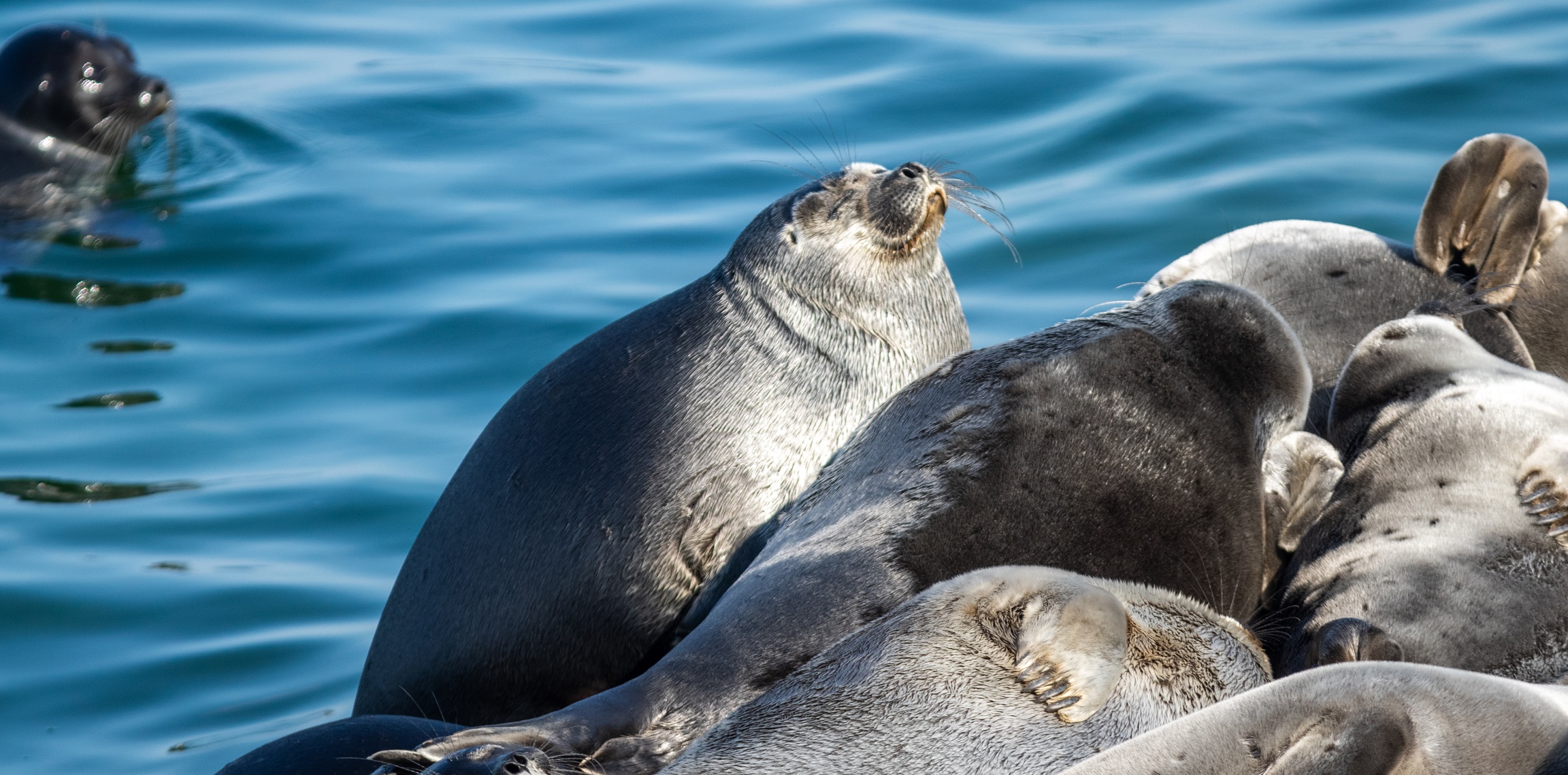 Сибирская ривьера. Ваш необычный летний отдых на Байкале