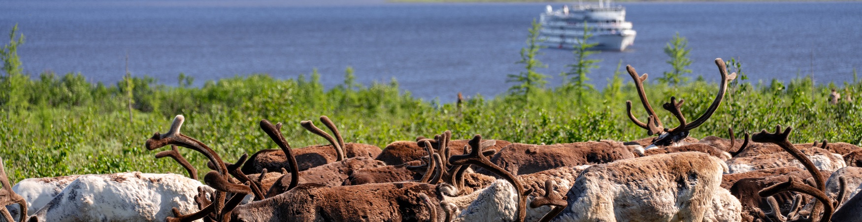 Реки Сибири: крупнейшие водные артерии