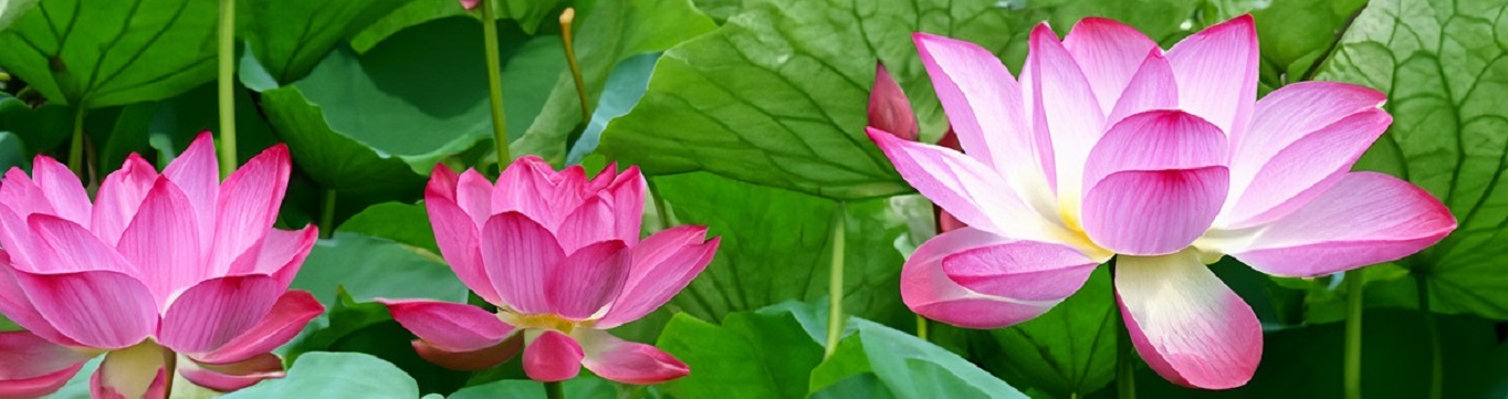 Достопримечательности Астраханской области