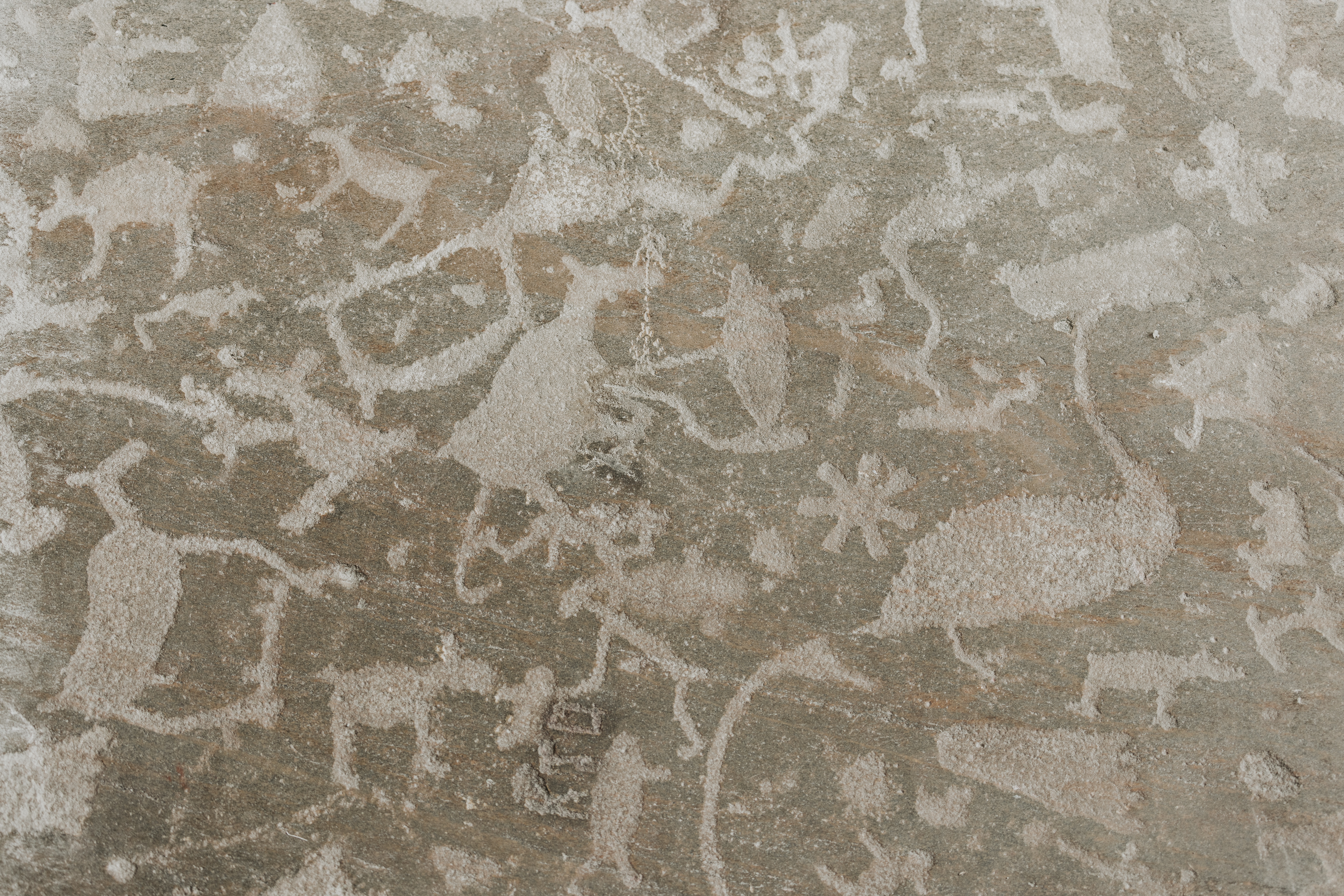 Беломорские и онежские петроглифы Карелии