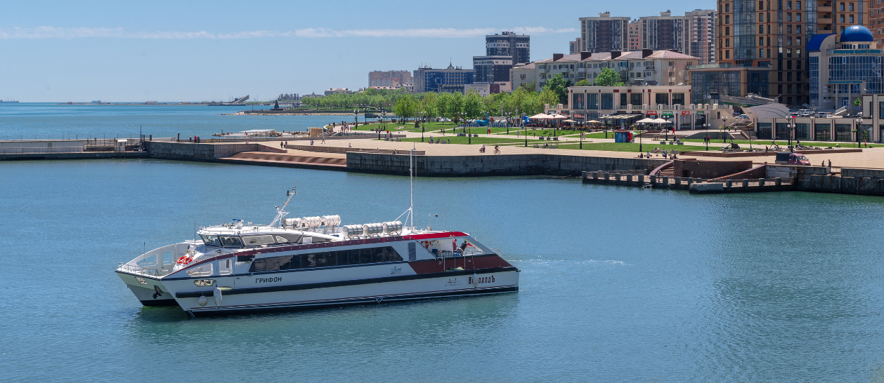 Скоростной флот