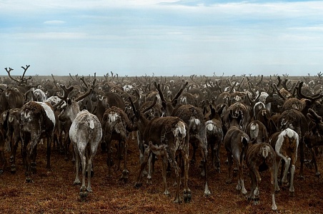 Енисейская экспедиция