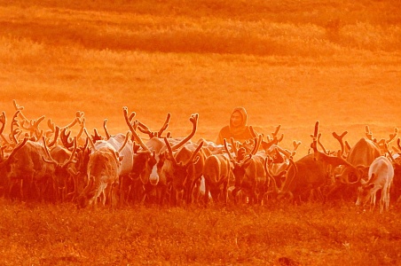 Енисейская экспедиция