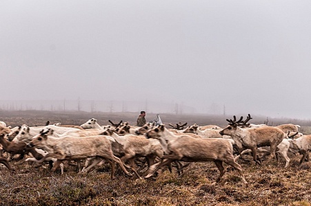 Енисейская экспедиция