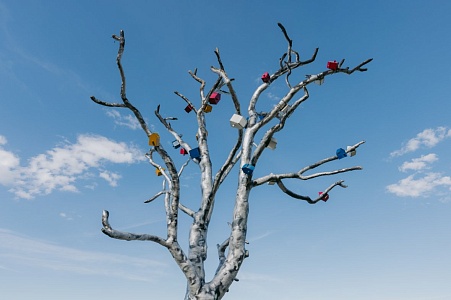 Древности Белозерья