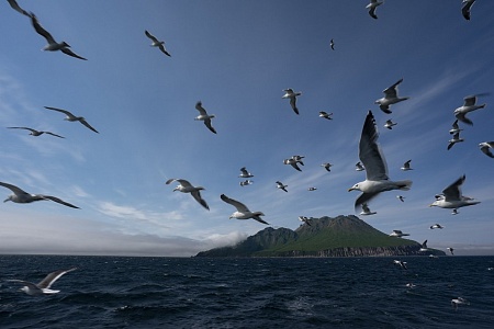 Курилы: тайны вулканов